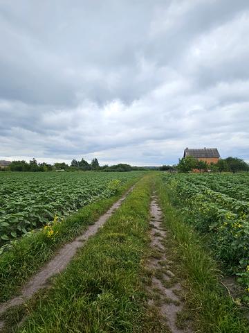 Артемівка, Бориспільський, Київська область 10000 USD