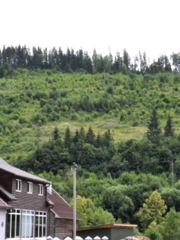 Карпатська вул., 178