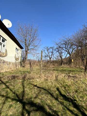 Оріхова, 47