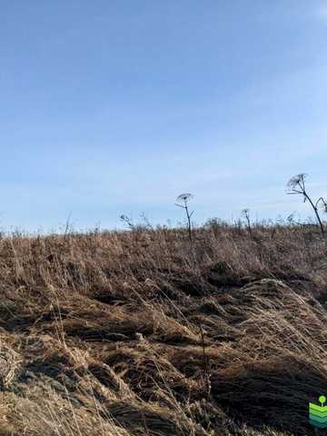 Загвіздя, Івано-Франківський, Івано-Франківська область 8000 USD