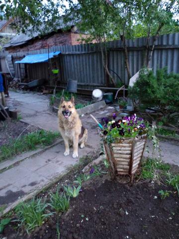 Бульварна вул. (Рози Люксембург)