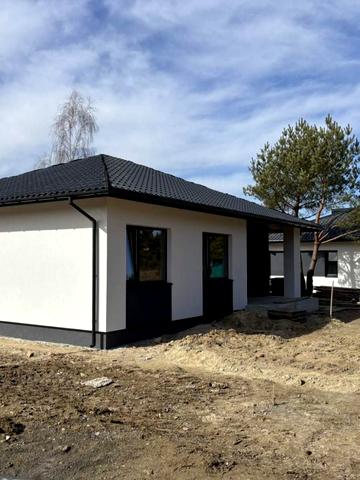 Золотого Лева