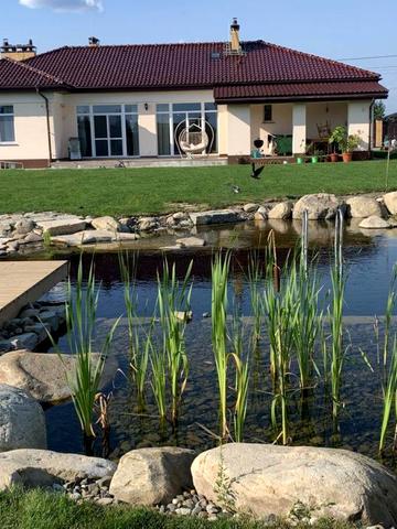 центральна