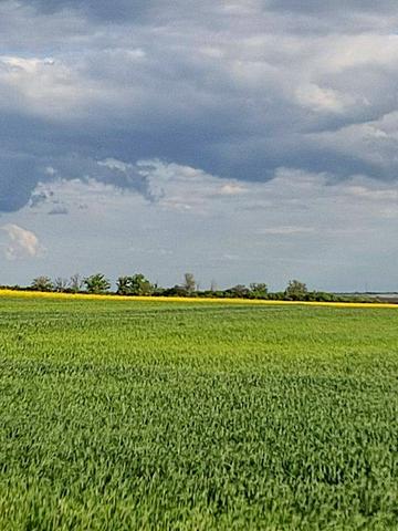 Білашки, Звенигородський, Черкаська область 12000 USD