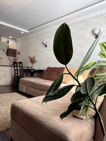 Валерія Лобановського вул., 13