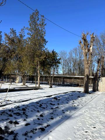 Степана Чобану вул. (Добровольського), 14