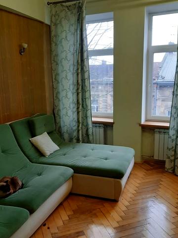 Володимира Антоновича вул. (), 13