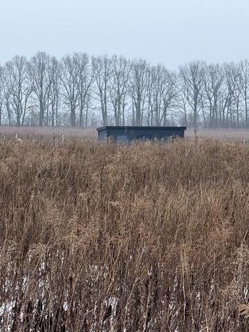 Прибережний