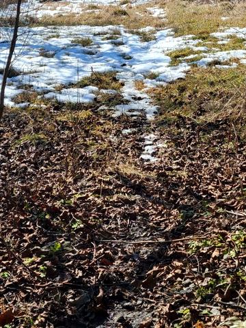 Зарванці, Вінницький, Вінницька область 8900 USD