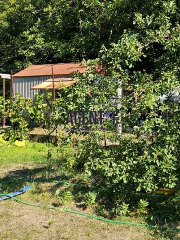 Світла вул.