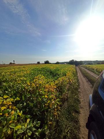 Івана Франка вул.