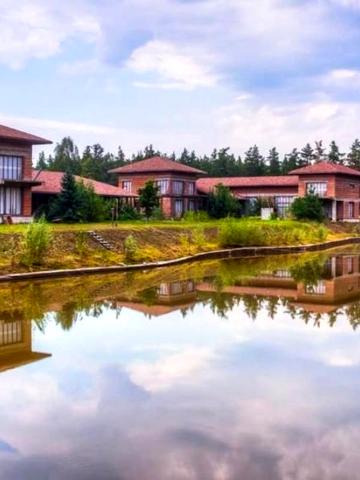 Лісова вул., 100