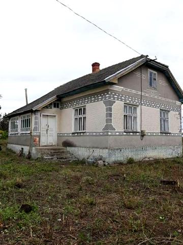 Лісова