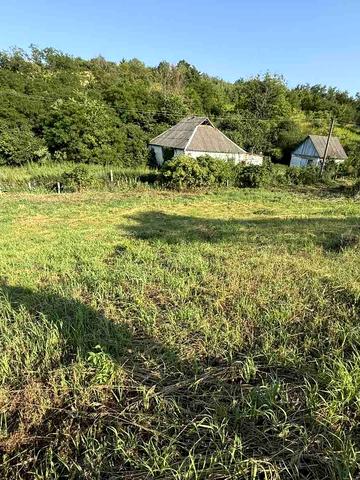 Шкарівка, Білоцерківський, Київська область 13000 USD