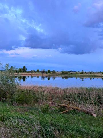 Іванків, Бориспільський, Київська область 1651000 USD