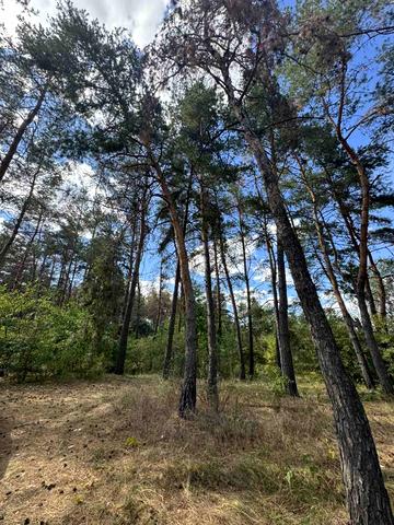 Єдності вул.