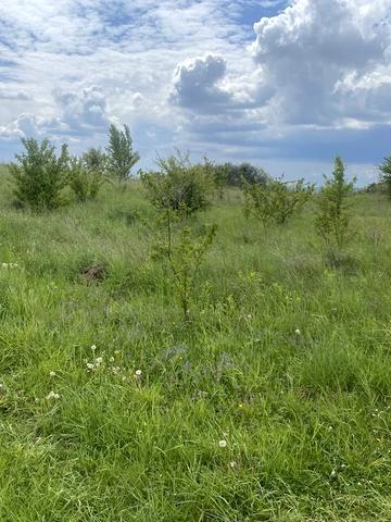 Буськ, Золочівський, Львівська область 8000 USD