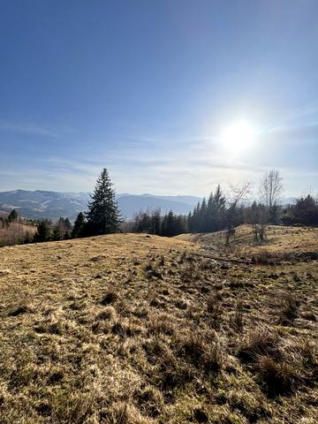 Верховина, Верховинський, Івано-Франківська область 59000 USD