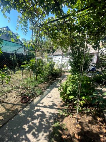 Вікандера і Ларсена вул.