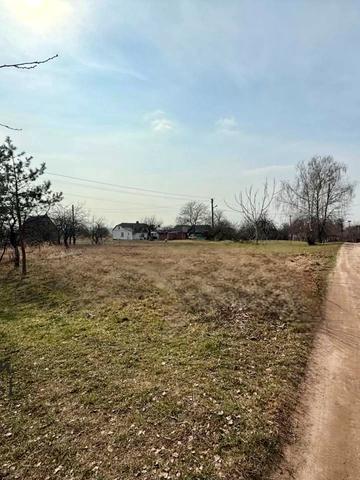 Центральна