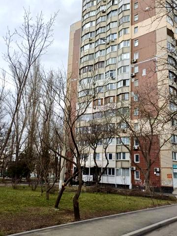 Князя Володимира Великого просп., 100
