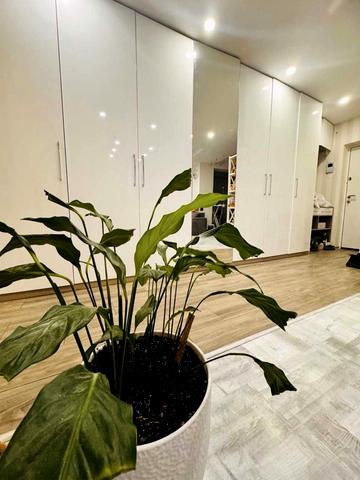 Райдужна вул., 96