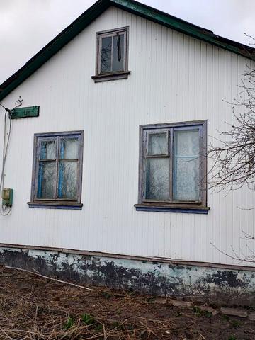 Зелена, 38