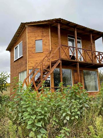 Володимирська вул., 217