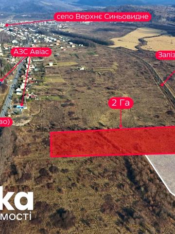 Верхнє Синьовидне, Стрийський, Львівська область 240000 USD