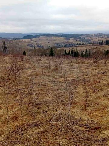 Комарники, Самбірський, Львівська область 15500 USD