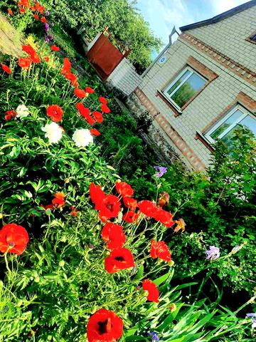 Садова вул., 44