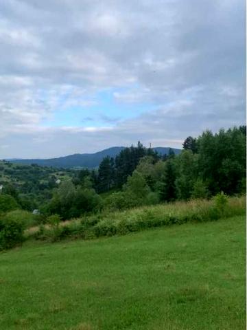 Старий Самбір, Самбірський, Львівська область 24500 USD