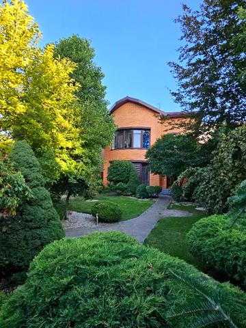 Динамо вул.