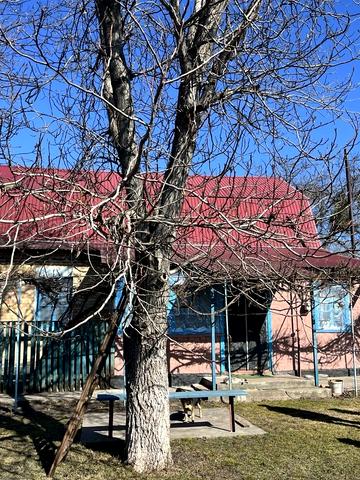 Барабася, 14