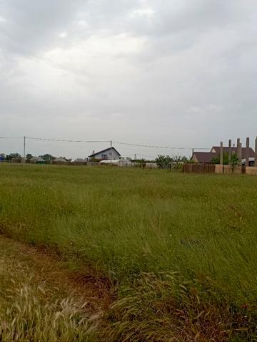 Виноградная