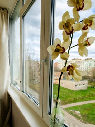 Ігоря Дорошенка вул. (Ціолковського), 37