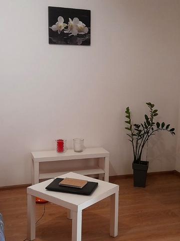 Пирогівський Шлях вул. (Червонопрапорна), 93