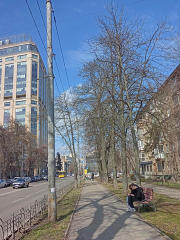 Князів Острозьких вул. (Московська), 37/2