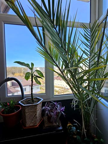 Володимира Івасюка вул., 50в