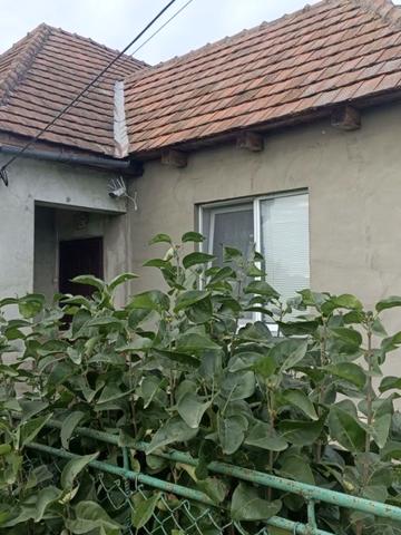 Центральна