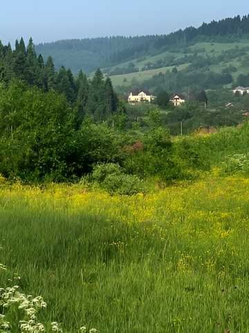 Явора, Самбірський, Львівська область 10000 USD