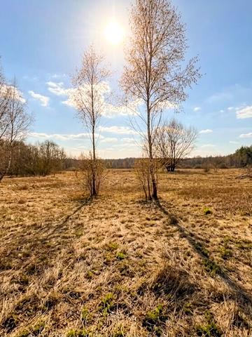 Козинці, Бучанський, Київська область 4500 USD