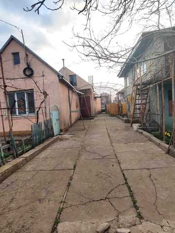 тиха, 1