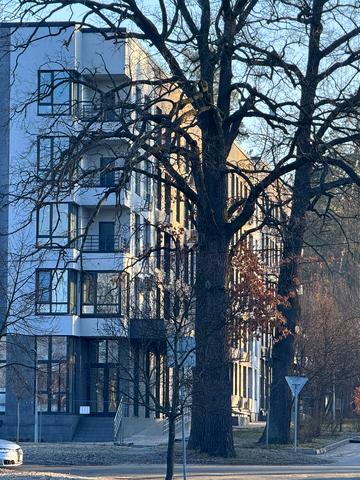 Квітки Цісик вул. (Гамарника), 32