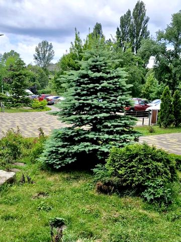 Віталія Скакуна вул. (Академіка Каблукова), 23