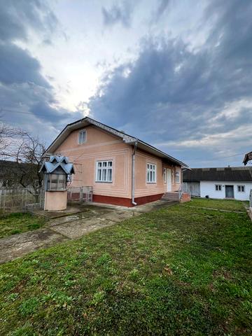 Зелена, 25