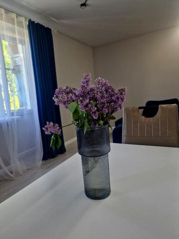 Галини Мазепи вул. (Софії Ковалевської), 53