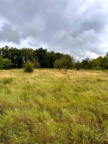 Центральна