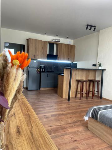 Під Голоском вул., 19г