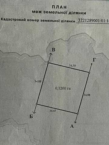 Требухів, Броварський, Київська область 6000 USD